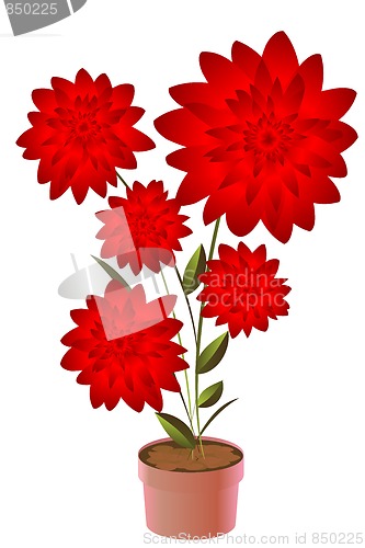 Image of Potted flower