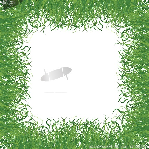 Image of grass frame 