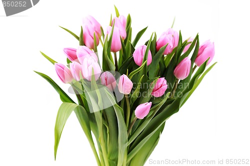 Image of pink