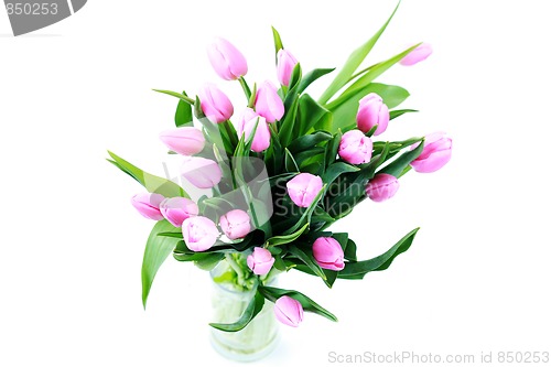 Image of pink