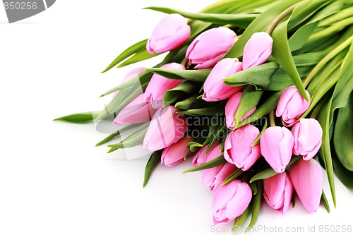 Image of pink