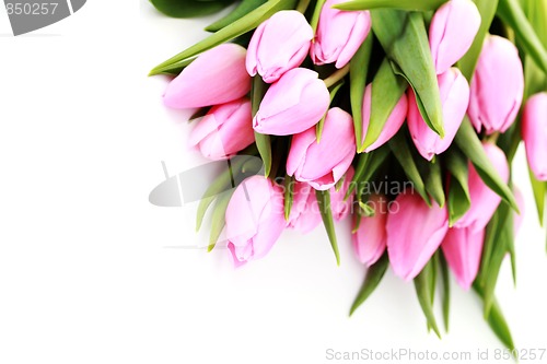 Image of pink