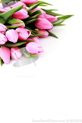 Image of pink