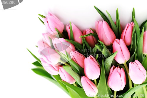 Image of pink