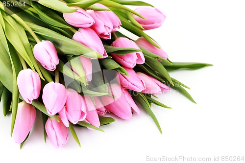 Image of pink
