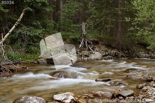 Image of The calming stream