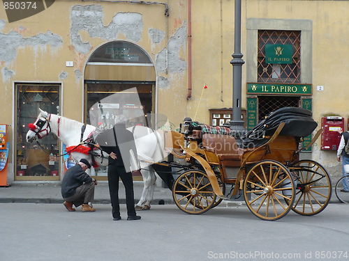 Image of Italy. Pisa. Tourist carriage on Piazza dei Miracoli  