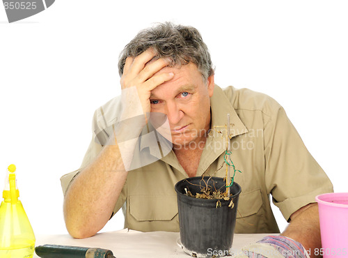 Image of Distraught Nurseryman