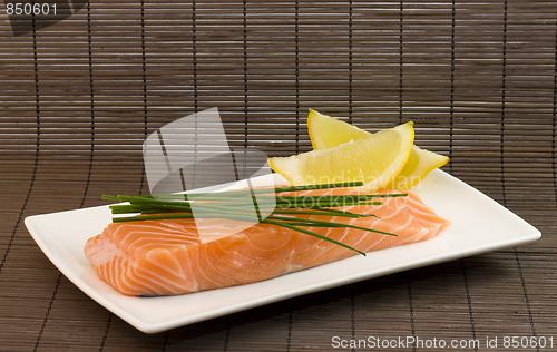 Image of Fresh salmon