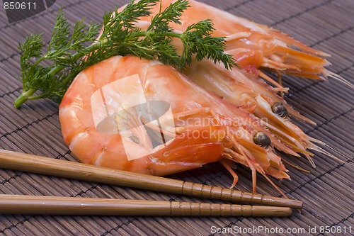 Image of shrimps