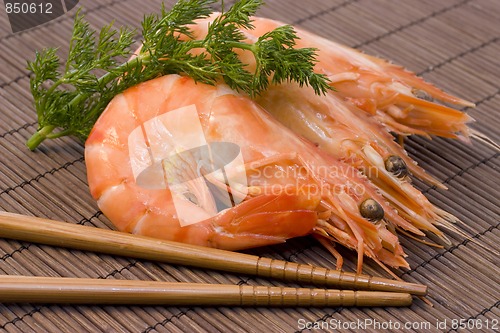 Image of shrimps