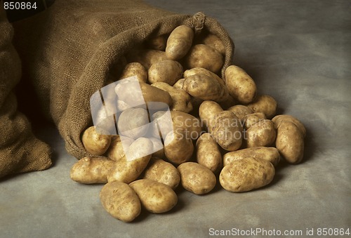 Image of Spilled burlap sack of potatoes