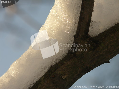 Image of Branch with snow