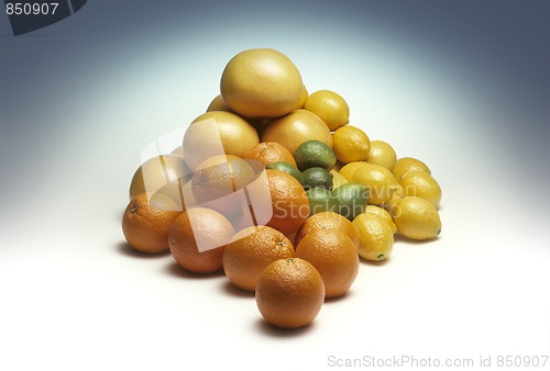 Image of Pile of mixed citrus fruit