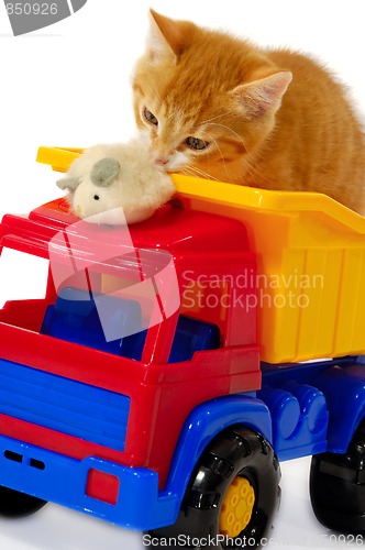 Image of Kitten palying with mouse