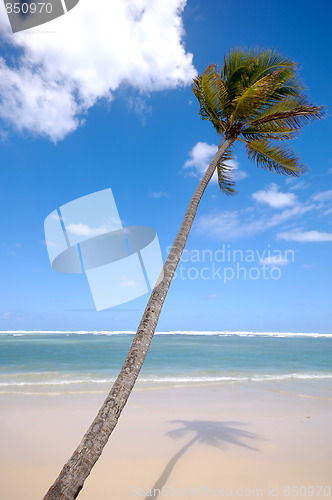 Image of Exotic beach