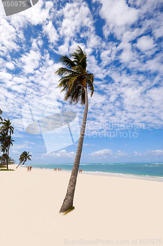 Image of Exotic beach
