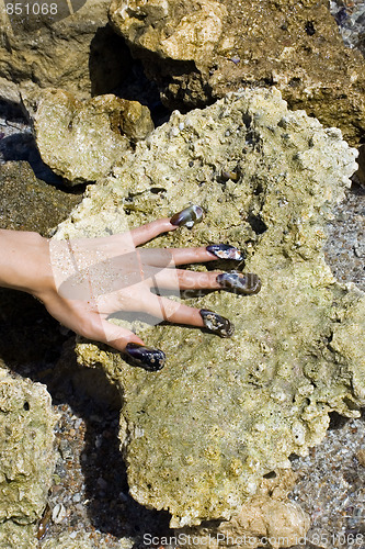 Image of Sea Shells Manicure