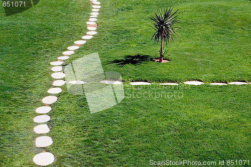 Image of Stone path through lawn