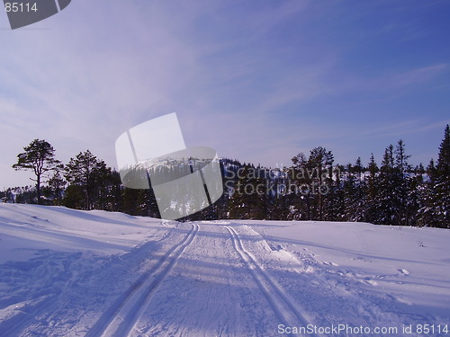 Image of cross-country skiing