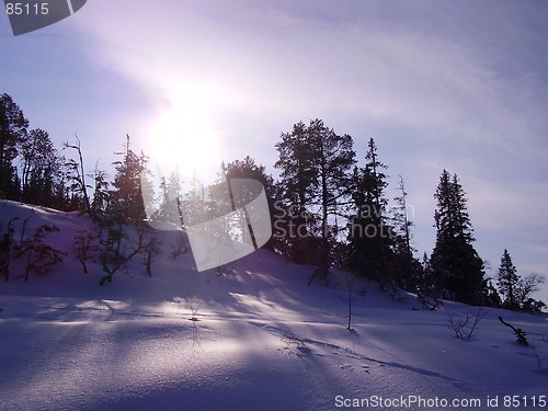 Image of Winterlandscape