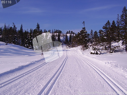 Image of cross-country skiing