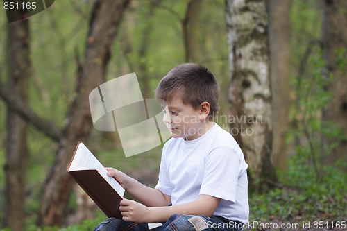 Image of Boy in white reading book in forest