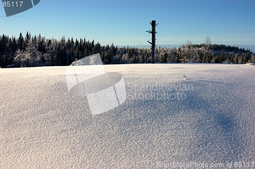 Image of Vinter