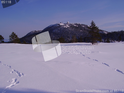 Image of Track