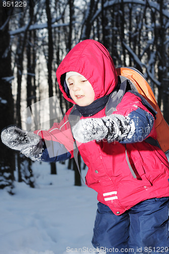 Image of Run in snow