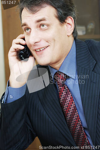 Image of Positive businessman talking via phone