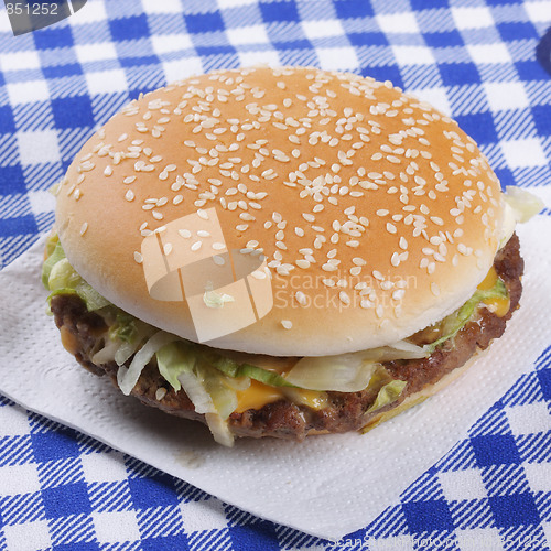 Image of Hamburger on tissue