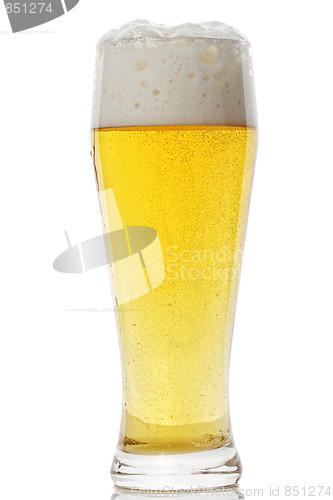 Image of Glass of beer