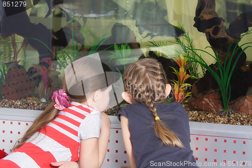 Image of Girls at aquarium