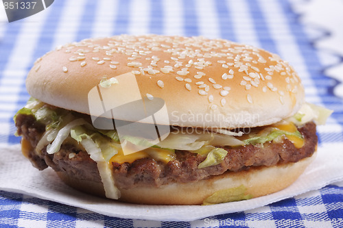 Image of Hamburger on tissue sideview