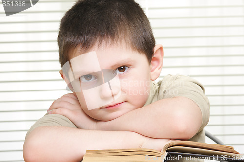 Image of Serene boy with book