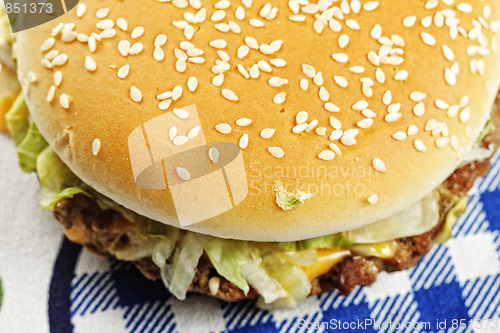 Image of Hamburger view from above