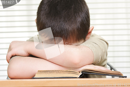 Image of Sleeping reader