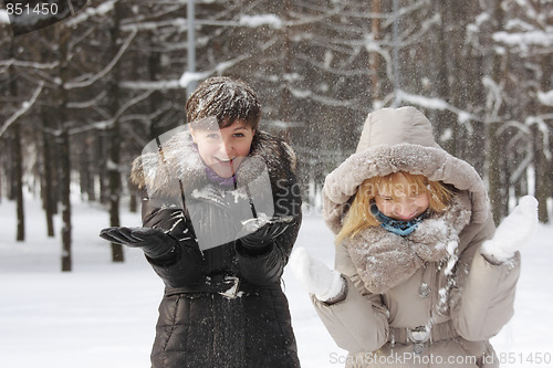 Image of Snowfall