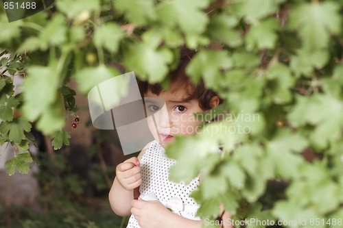 Image of Girl gathering berries
