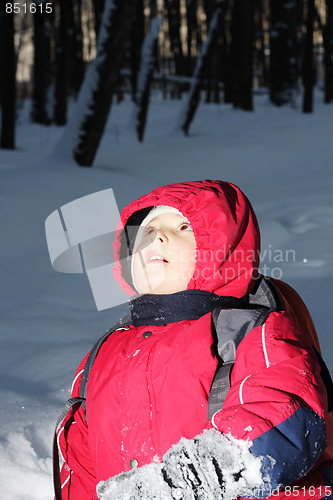 Image of Boy in dark forest