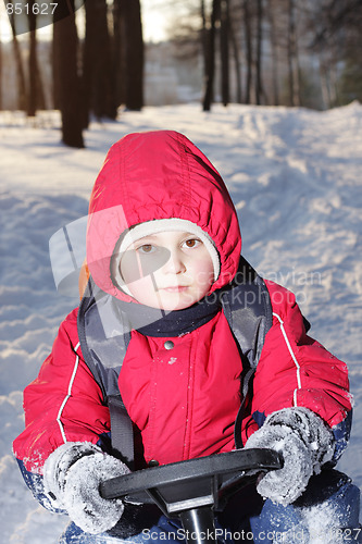 Image of Boy on sledge in forest
