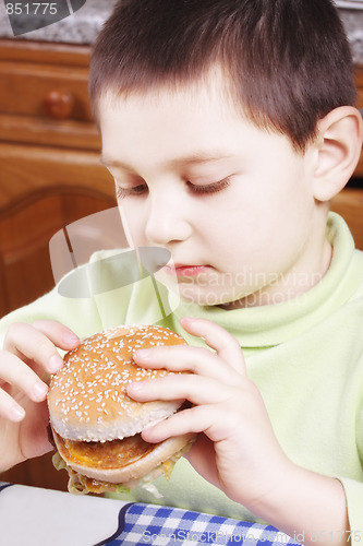 Image of Kid looking at hamburger