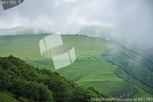 Image of Fog floating in alpine meadows