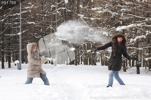 Image of Snowball fight