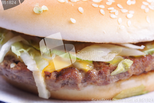 Image of Sandwich closeup