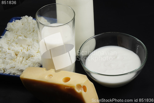 Image of Cheese and other dairy products