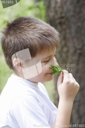 Image of Boy in white smelling leaves