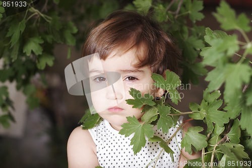 Image of Girl hiding behind leaves