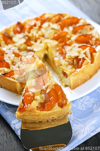 Image of Slice of apricot and almond pie